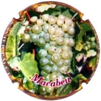 XAVIER PALET X. 92774 (MACABEU)