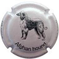CAN RAMON V.  25265 X. 70858 (AFGHAN HOUND)
