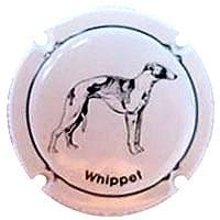 CAN RAMON V.  30133 X. 108188 (WHIPPET)
