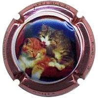 SADURNI COMAS CODORNIU V. 25143 X. 93699