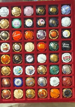 LOTE DE 48 PLACAS EXTRANJERAS 2 (0.10 UNIDAD)