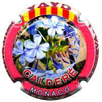 CALDERE V. 31066 X. 114325