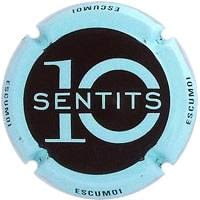 DEU SENTITS V. 27108 X. 100178