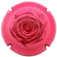 TORELLO X. 119643 (ROSE PALID MAGNUM)