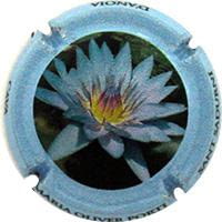 MARIA OLIVER PORTI X. 123294