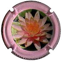 MARIA OLIVER PORTI X. 114947