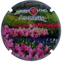 CASTELL D'OR V. 25234 X. 89668