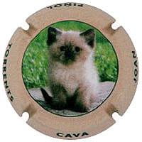 JOAN PIÑOL TORRENTS X. 120474