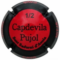 CAPDEVILA PUJOL X. 123199 (1/2 BOTELLA)