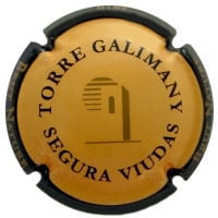 SEGURA VIUDAS X. 126453 (2010 LLETRA PETITA)