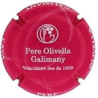 PERE OLIVELLA GALIMANY X. 112123