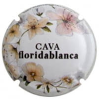FLORIDABLANCA X. 120434