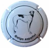 CAN RAMON X. 105722 (GALGO ESPAÑOL)