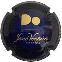 JANE VENTURA X. 117400 (2009)