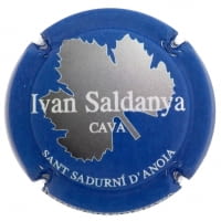 IVAN SALDANYA X. 128197