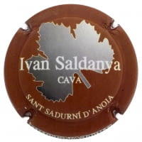IVAN SALDANYA X. 128198