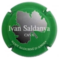 IVAN SALDANYA X. 128196