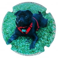 JUST PRESENTS X. 101418