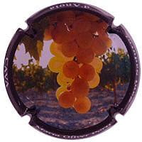 MARIA OLIVER PORTI X. 124310