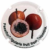 ARGENTIUM V. 29123 X. 103238