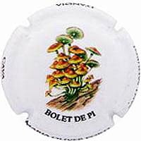 MARIA OLIVER PORTI V. 33109 X. 120037 (BOLET DE PI)