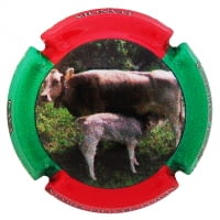 MARIA OLIVER PORTI X. 126765