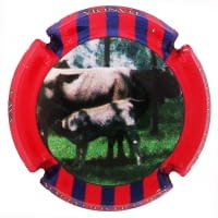 MARIA OLIVER PORTI X. 126771