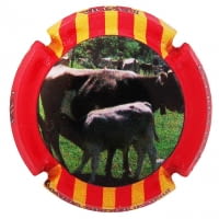 MARIA OLIVER PORTI X. 126770