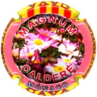 CALDERE V. 31062 X. 129680 MAGNUM