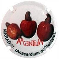 ARGENTIUM V. 29125 X. 103237 (MARAÑON)
