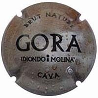 GORA IDIONDO I MOLINA X. 107343