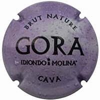 GORA IDIONDO I MOLINA X. 107406