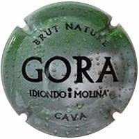 GORA IDIONDO I MOLINA X. 105138
