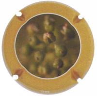 MAS BERTRAN X. 118523