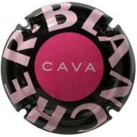 BLANCHER X. 131718 (ROSAT)