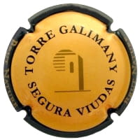 SEGURA VIUDAS X. 126811 (2011)