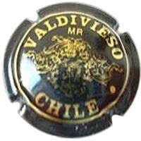 ALBERTO VALDIVIESO X. 30494 (CHILE)