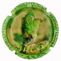 CUSCO COMAS X. 129958