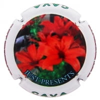 JUST PRESENTS X. 128624