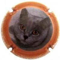 VIA MERCADERA X. 104589