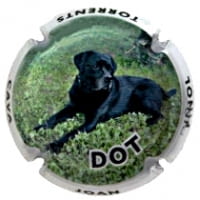 JOAN PIÑOL TORRENTS X. 128882