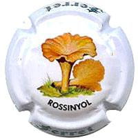 FERRET X. 120893 (ROSSINYOL)