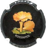 FERRET X. 120894 (ROSSINYOL)