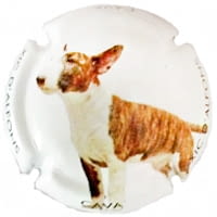 XIC D'ALFONS X. 134892