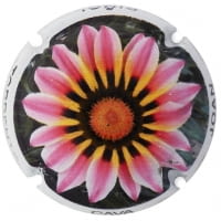 JOAN PIÑOL TORRENTS X. 137061