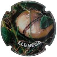 ROGER BERTRAND X. 97365 (LLENEGA)