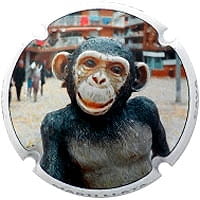 MARTI LLATA X. 101222