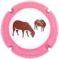 LA VIDA AL CAMP X. 125635