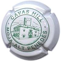CAVAS HILL V. 5132 X. 04749