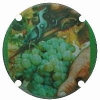 CLOS VINIFERA X. 81026